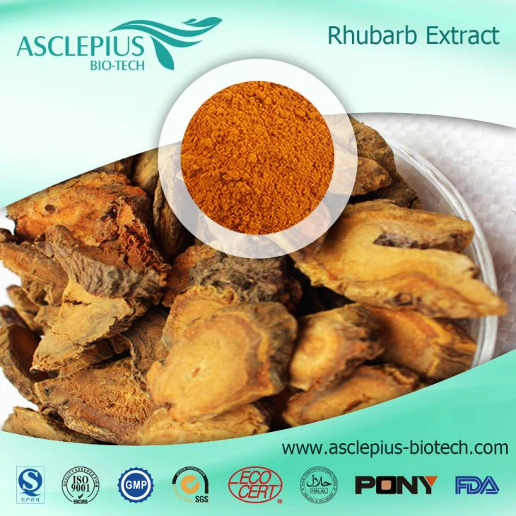 Rheum Officinale Extract,Rheum Officinale Baill,rhubarb Extract Supplier Wholesale /the Active Ingrediant Is Emodin