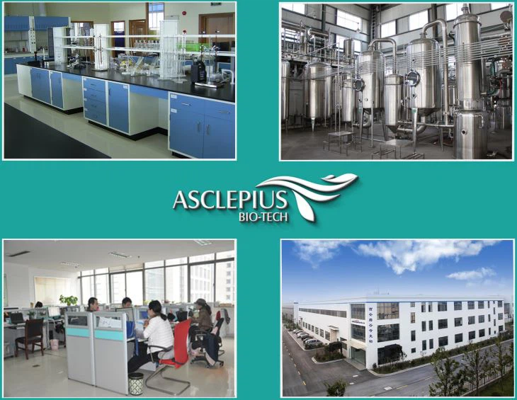 Factory Labs and Office area