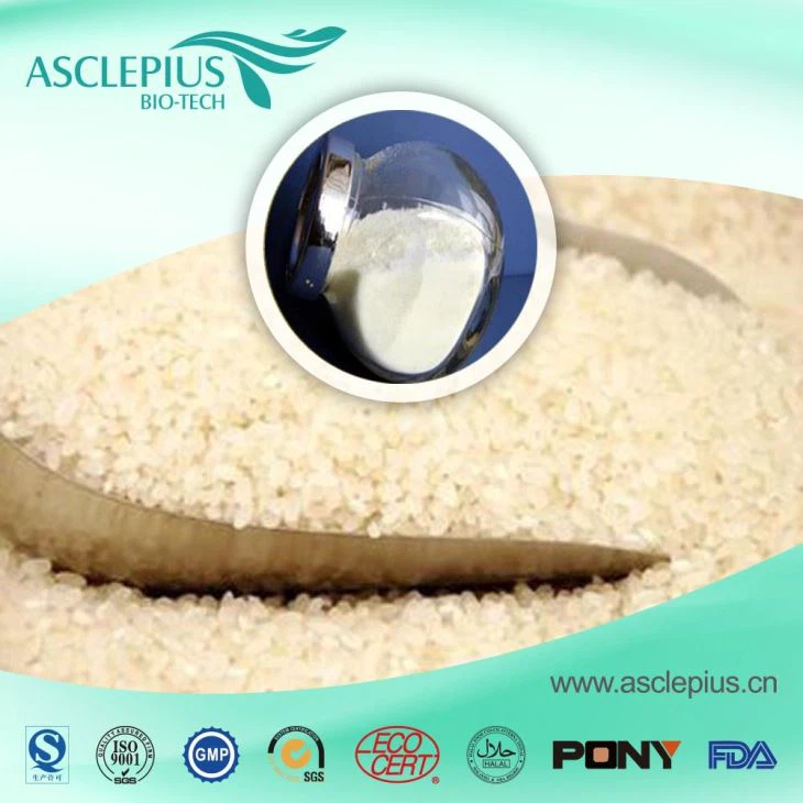 Organic Rice Protein