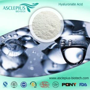 proteine ​​dell'olio di semi di lino